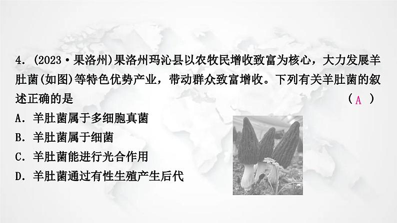 北师大版中考生物复习八年级上册第5单元第17章生物圈中的动物第18章生物圈中的微生物课件05