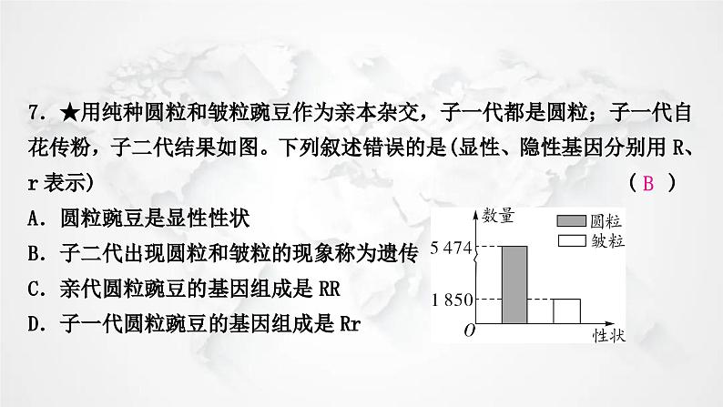 北师大版中考生物复习八年级上册第6单元生命的延续第20章生物的遗传和变异课件08