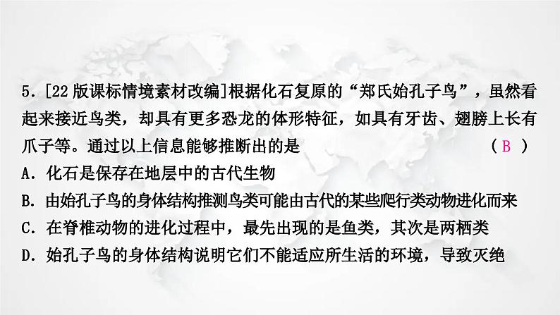 北师大版中考生物复习八年级下册第7单元生命的演化复习第21章生命的发生和发展课件06