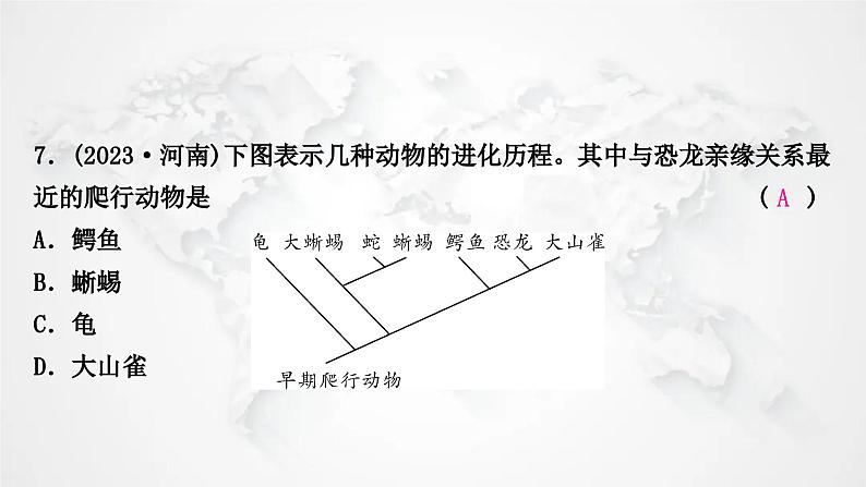 北师大版中考生物复习八年级下册第7单元生命的演化复习第21章生命的发生和发展课件08