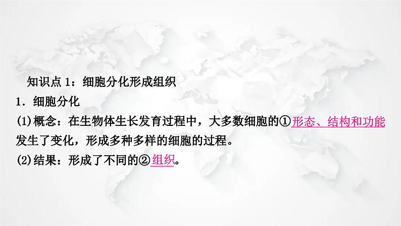 北师大版中考生物复习七年级上册第2单元生物体的结构第4章生物体的结构层次课件第2页