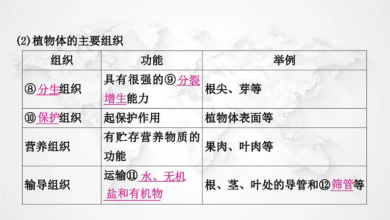 北师大版中考生物复习七年级上册第2单元生物体的结构第4章生物体的结构层次课件第5页