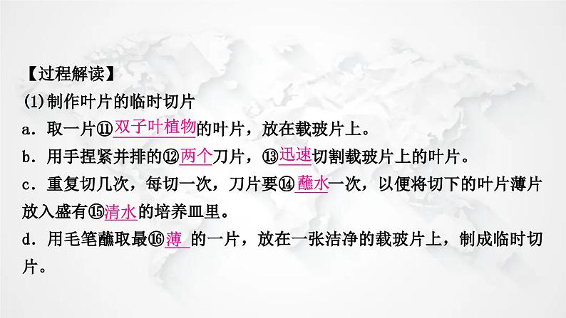 北师大版中考生物复习七年级上册第3单元生物圈中的绿色植物第5章绿色开花植物的生活方式课件08