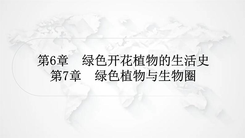 北师大版中考生物复习七年级上册第3单元第6章绿色开花植物的生活史第7章绿色植物与生物圈课件01