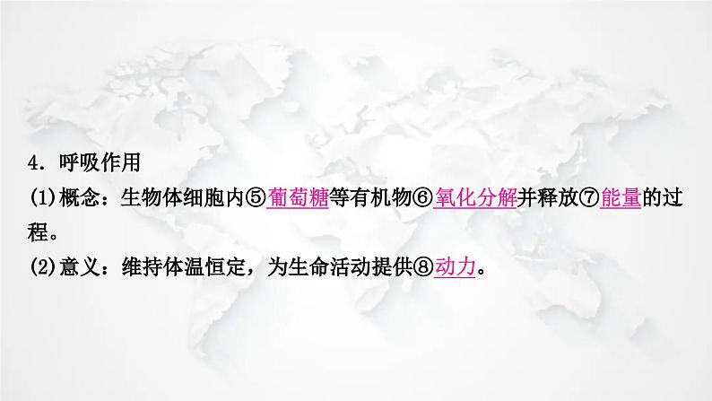 北师大版中考生物复习七年级下册第4单元生物圈中的人第10章人体的能量供应课件第4页