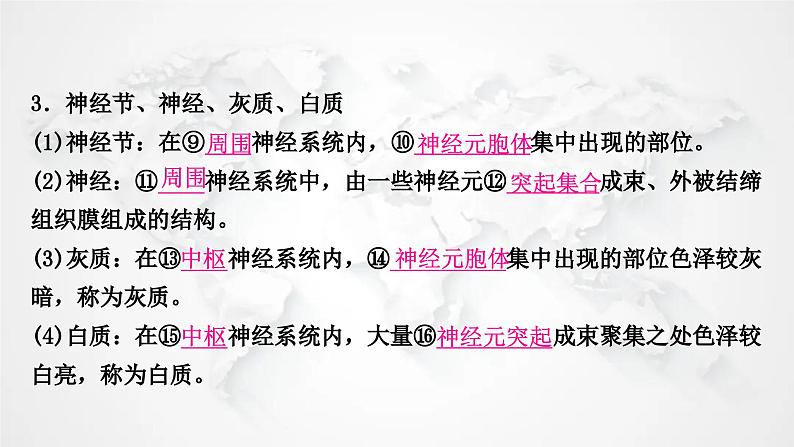 北师大版中考生物复习七年级下册第4单元生物圈中的人第12章人体的自我调节课件05