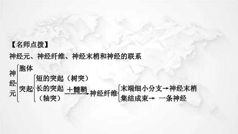 北师大版中考生物复习七年级下册第4单元生物圈中的人第12章人体的自我调节课件06