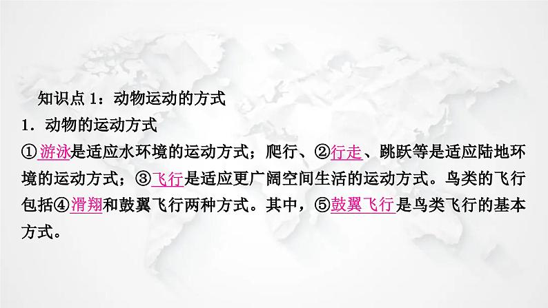 北师大版中考生物复习八年级上册第5单元生物圈中的动物和微生物第15章动物的运动课件02