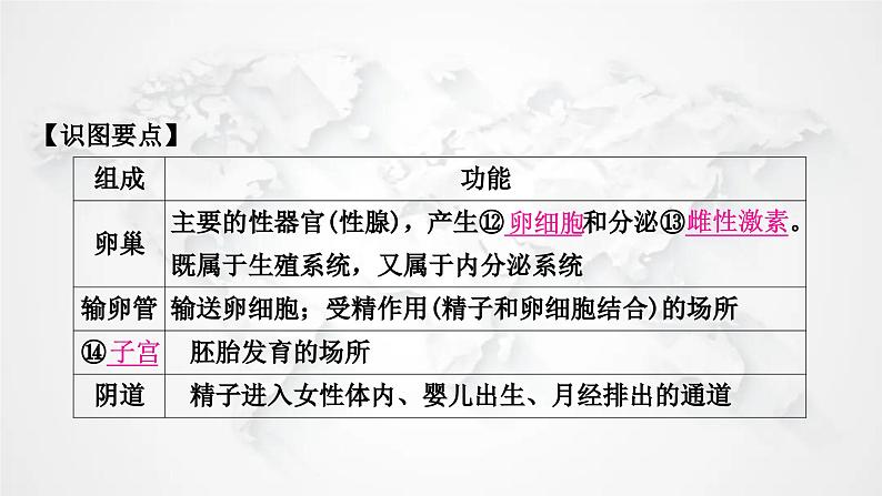 北师大版中考生物复习八年级上册第6单元生命的延续第19章生物的生殖和发育课件第6页