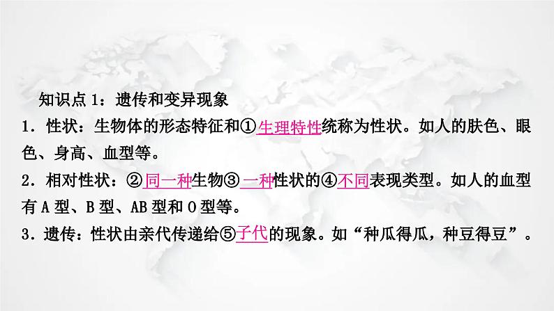 北师大版中考生物复习八年级上册第6单元生命的延续第20章生物的遗传和变异课件第2页