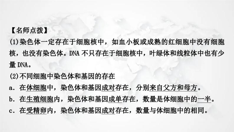 北师大版中考生物复习八年级上册第6单元生命的延续第20章生物的遗传和变异课件06