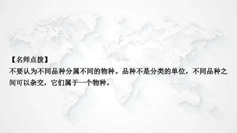 北师大版中考生物复习八年级下册第7单元生命的演化第22章物种的多样性课件03