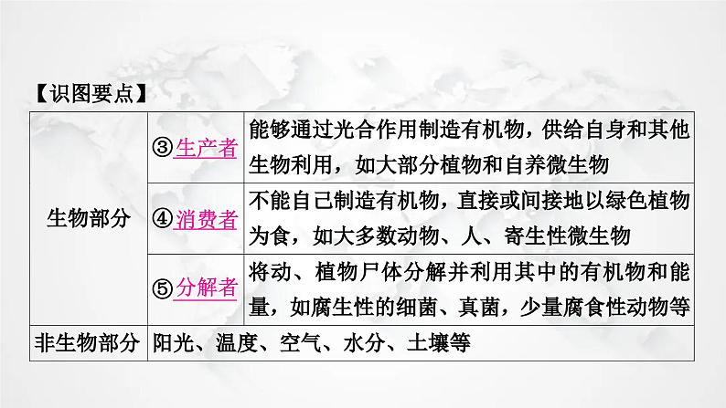 北师大版中考生物复习八年级下册第8单元生物与环境第23章生态系统及其稳定性第24章人与环境课件05