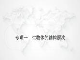 北师大版中考生物复习专项一生物体的结构层次课件