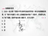 北师大版中考生物复习专项一生物体的结构层次课件