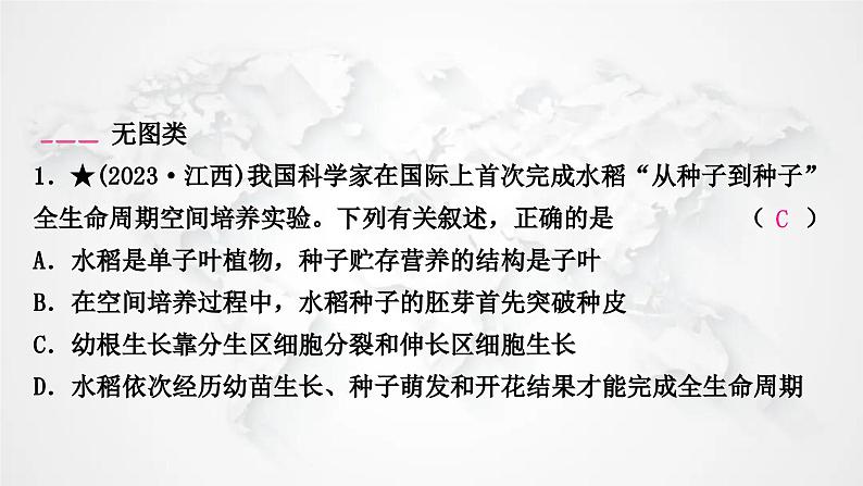 北师大版中考生物复习专项三生物圈中的绿色植物课件02