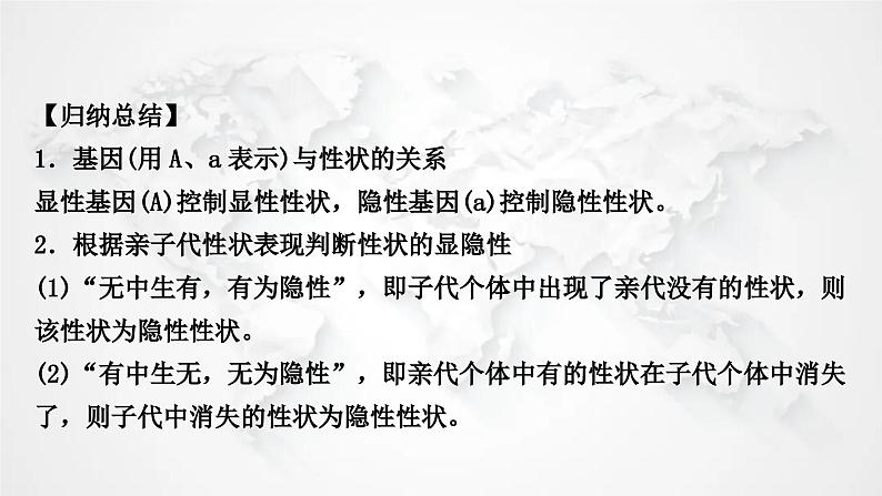 北师大版中考生物复习专项五生物的遗传和变异课件02