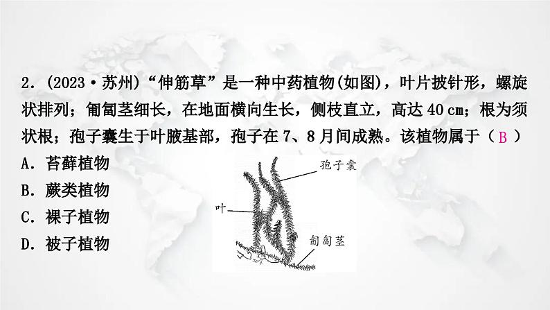 北师大版中考生物复习专项六生物的多样性课件第3页