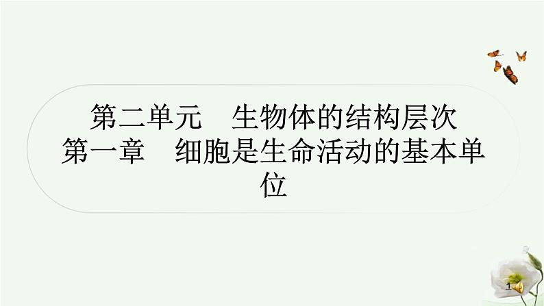 人教版中考生物复习七年级上册第二单元第一章细胞是生命活动的基本单位课件第1页