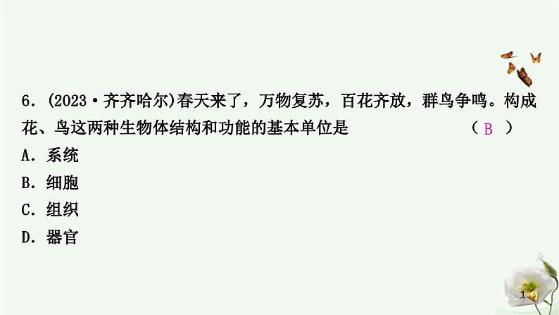 人教版中考生物复习七年级上册第二单元第一章细胞是生命活动的基本单位课件第7页