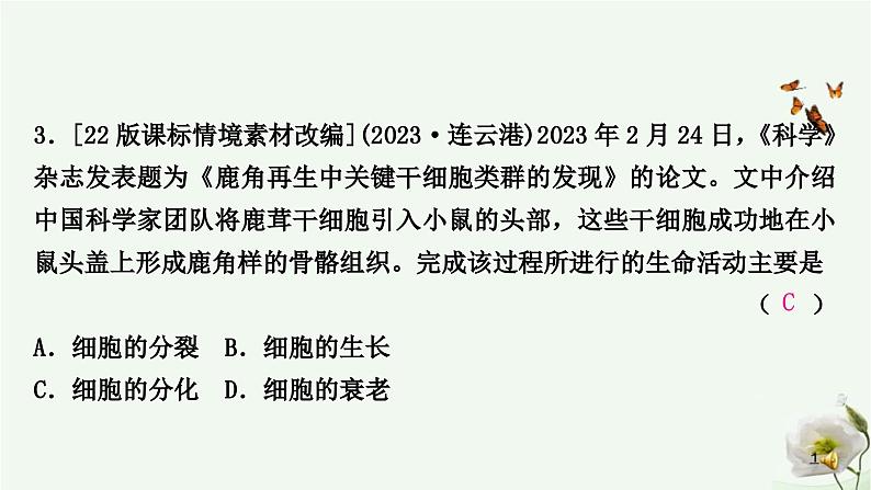 人教版中考生物复习七年级上册第二单元第二章细胞怎样构成生物体课件第4页