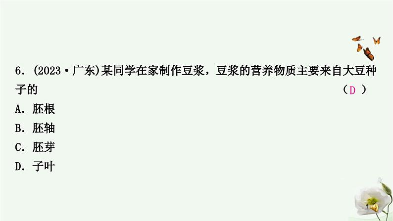 人教版中考生物复习七年级上册第三单元第一章生物圈中有哪些绿色植物课件07