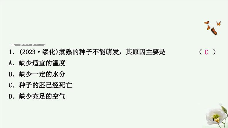 人教版中考生物复习七年级上册第三单元第二章被子植物的一生课件第2页