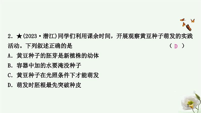 人教版中考生物复习七年级上册第三单元第二章被子植物的一生课件第3页