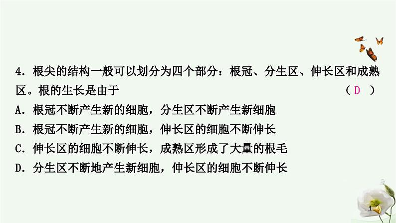 人教版中考生物复习七年级上册第三单元第二章被子植物的一生课件第5页