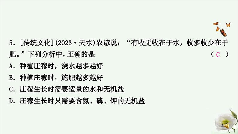 人教版中考生物复习七年级上册第三单元第二章被子植物的一生课件第6页