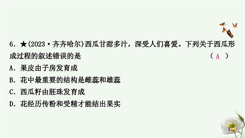 人教版中考生物复习七年级上册第三单元第二章被子植物的一生课件第7页