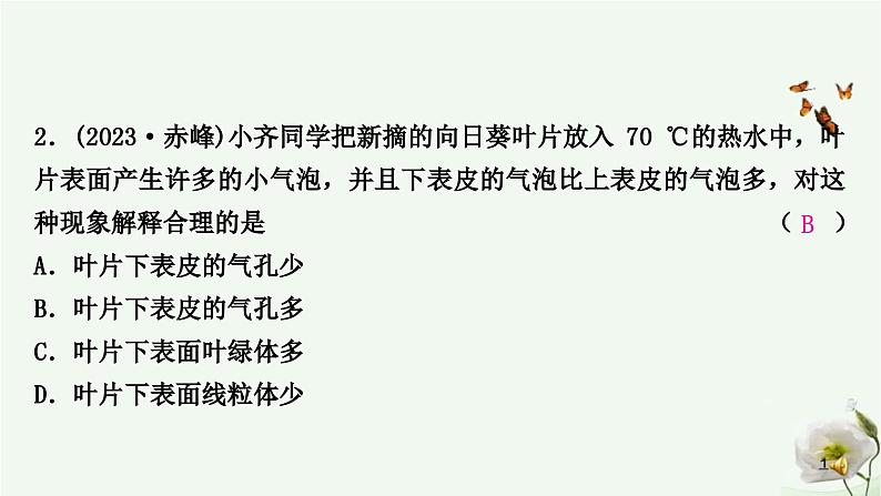 人教版中考生物复习七年级上册第三单元第三章 第四章 第五章课件第3页