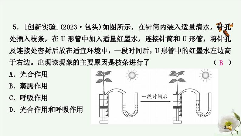 人教版中考生物复习七年级上册第三单元第三章 第四章 第五章课件第6页