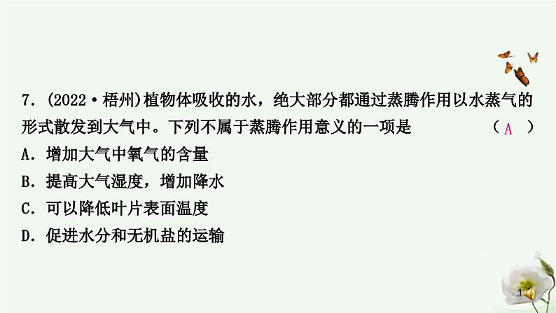 人教版中考生物复习七年级上册第三单元第三章 第四章 第五章课件第8页