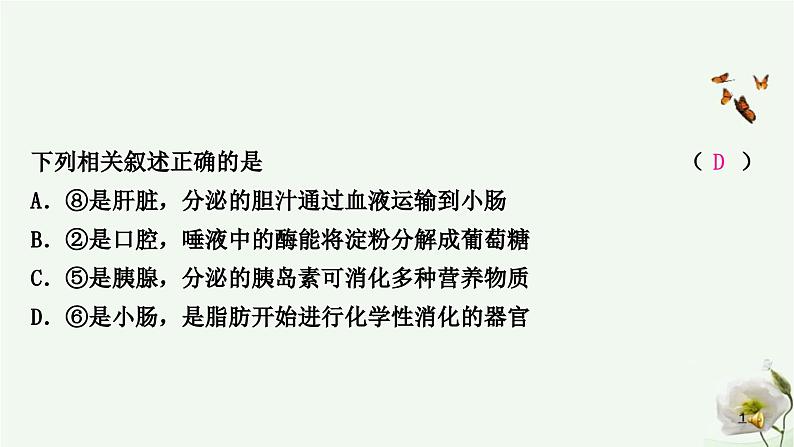 人教版中考生物复习七年级下册第四单元第二章人体的营养课件05