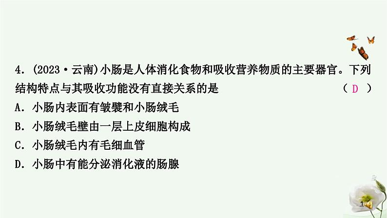 人教版中考生物复习七年级下册第四单元第二章人体的营养课件06