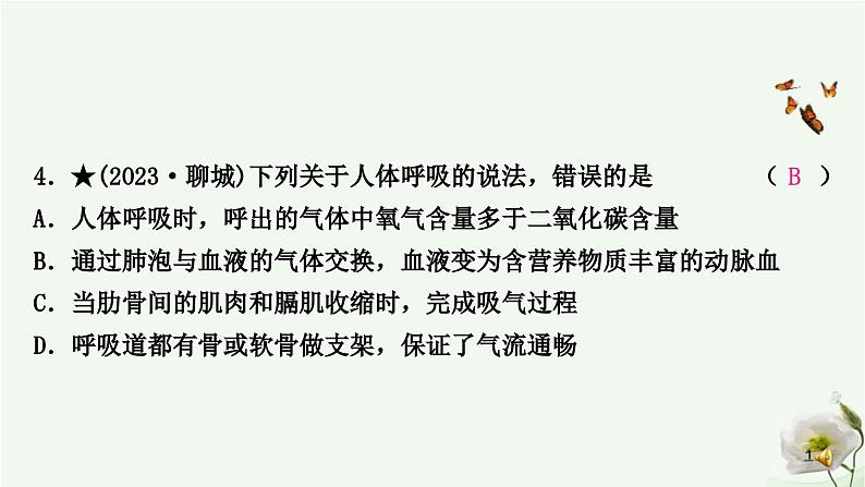 人教版中考生物复习七年级下册第四单元第三章人体的呼吸课件05