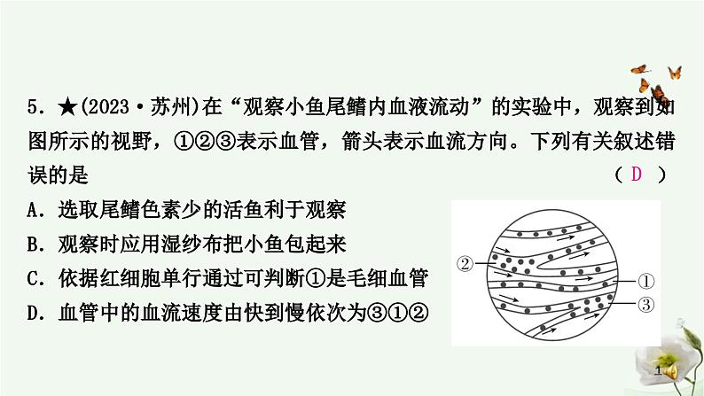 人教版中考生物复习七年级下册第四单元第四章人体内物质的运输课件第6页