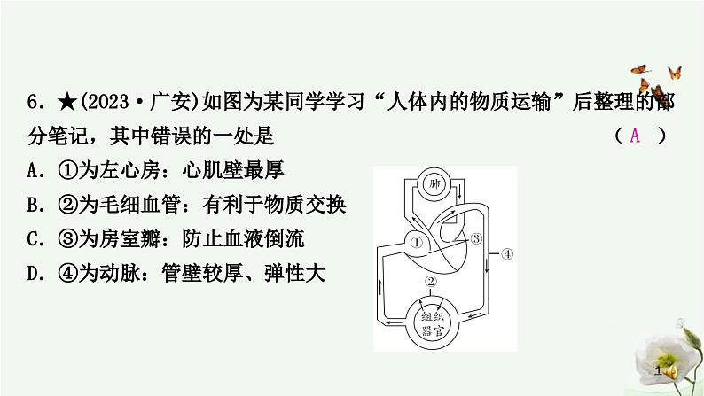 人教版中考生物复习七年级下册第四单元第四章人体内物质的运输课件第7页