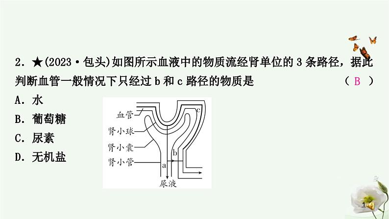 人教版中考生物复习七年级下册第四单元第五章人体内废物的排出课件03