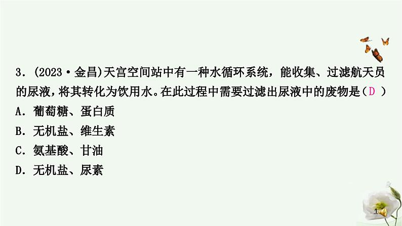 人教版中考生物复习七年级下册第四单元第五章人体内废物的排出课件04