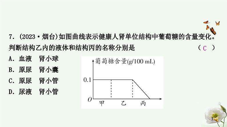 人教版中考生物复习七年级下册第四单元第五章人体内废物的排出课件08