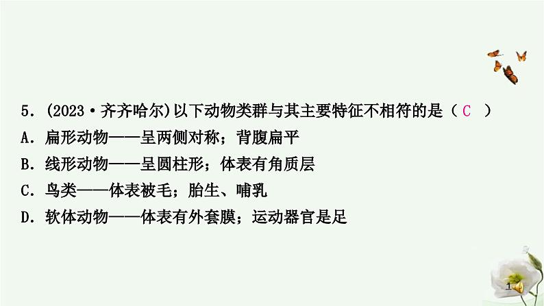 人教版中考生物复习八年级上册第五单元第一章动物的主要类群课件06