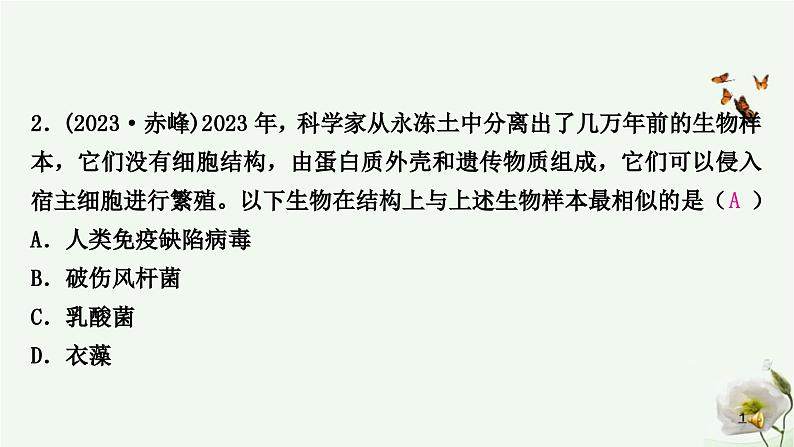 人教版中考生物复习八年级上册第五单元第四章细菌和真菌第五章病毒课件03