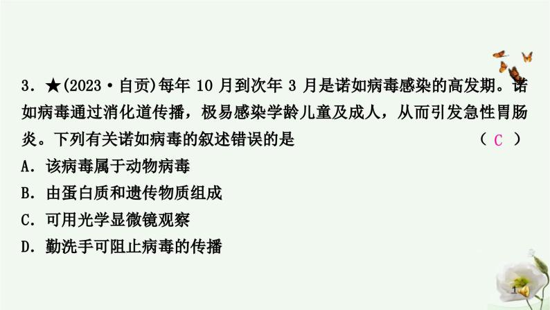 人教版中考生物复习八年级上册第五单元第四章细菌和真菌第五章病毒课件04