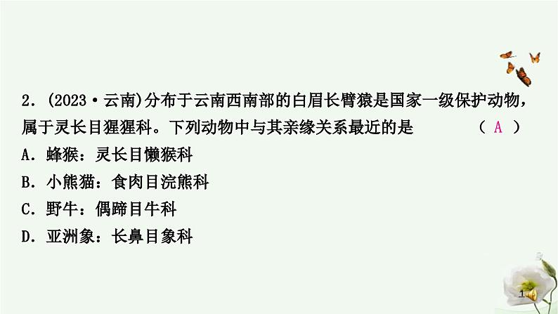 人教版中考生物复习八年级上册第六单元生物的多样性及其保护课件03