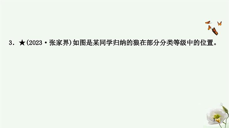 人教版中考生物复习八年级上册第六单元生物的多样性及其保护课件04