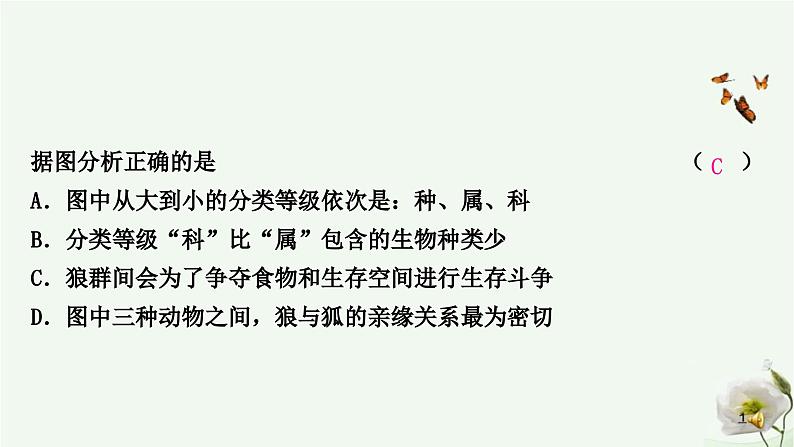 人教版中考生物复习八年级上册第六单元生物的多样性及其保护课件05