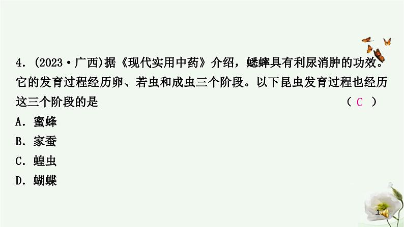 人教版中考生物复习八年级下册第七单元第一章生物的生殖和发育课件05