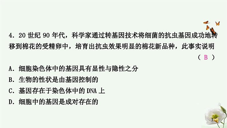 人教版中考生物复习八年级下册第七单元第二章生物的遗传与变异课件第5页